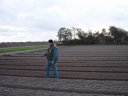 Planting the Bulbs